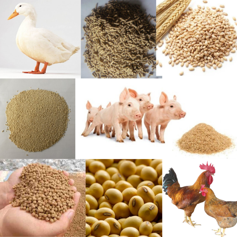 xe nâng ngành chăn nuôi
