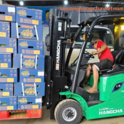 XE NANG DIEN LITHIUM 1.5T AE